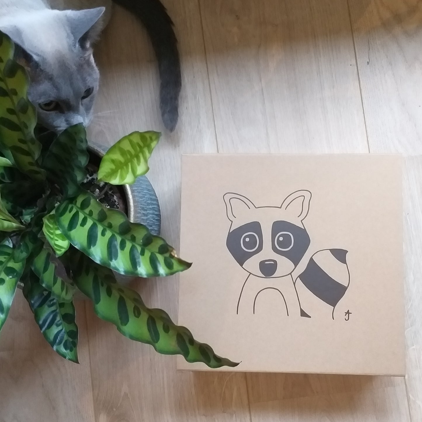 Magneet doos wasbeertje