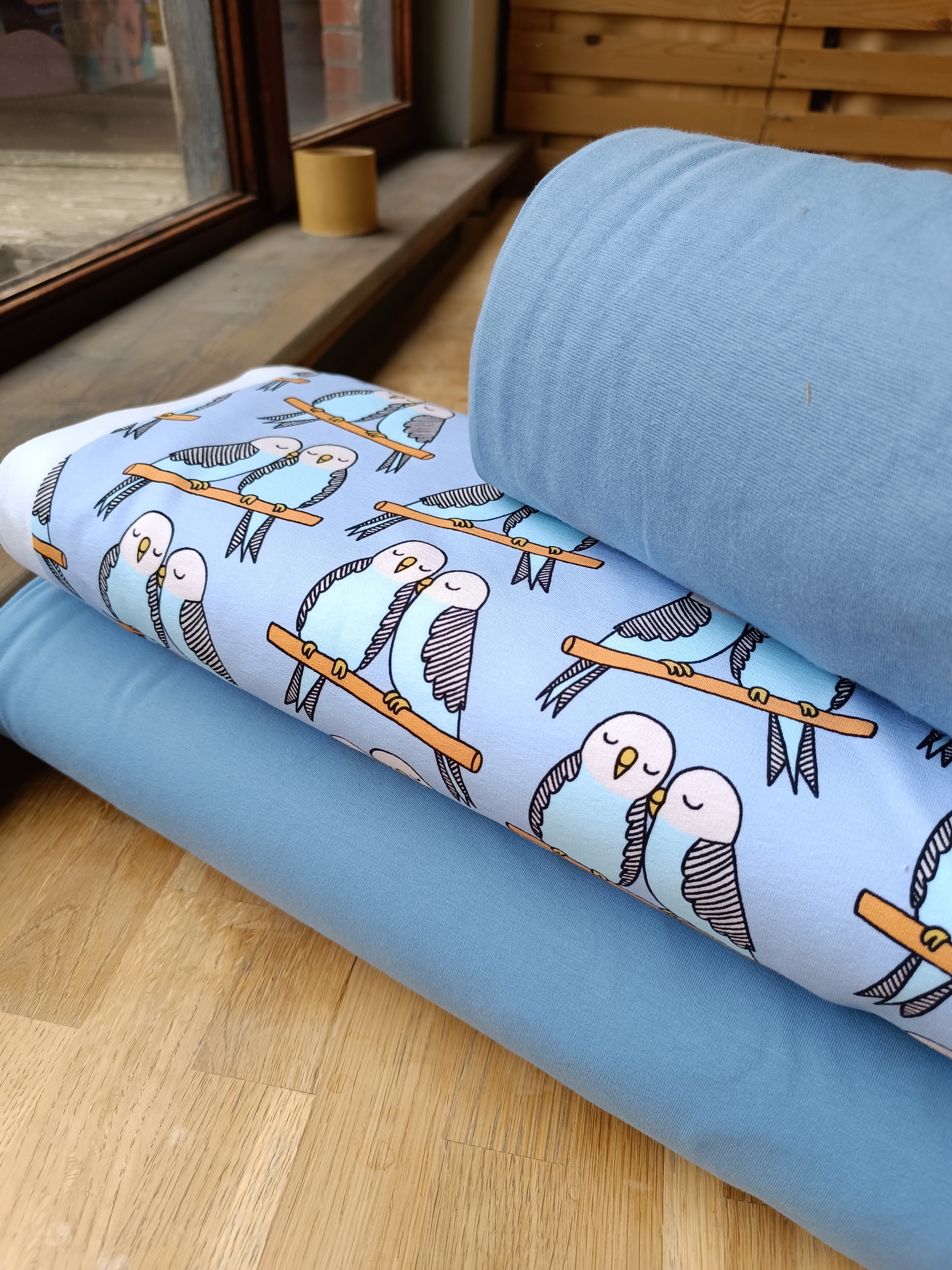 DIY pyjama parrots