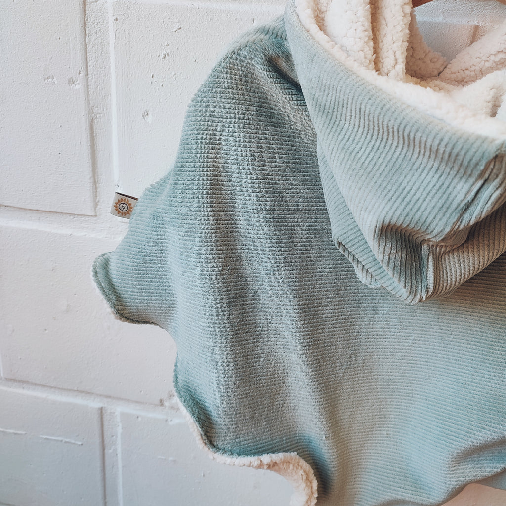 poncho frozen